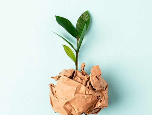 Sustainable Printing Practices